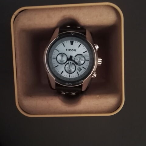 Montre Fossil 80 Massy (91)