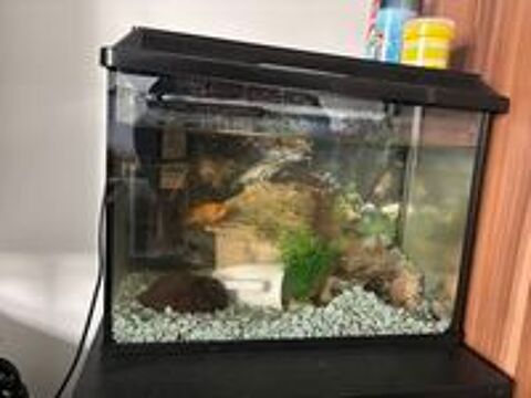   Aquarium 30L tout équipé + Vie aquatique () 