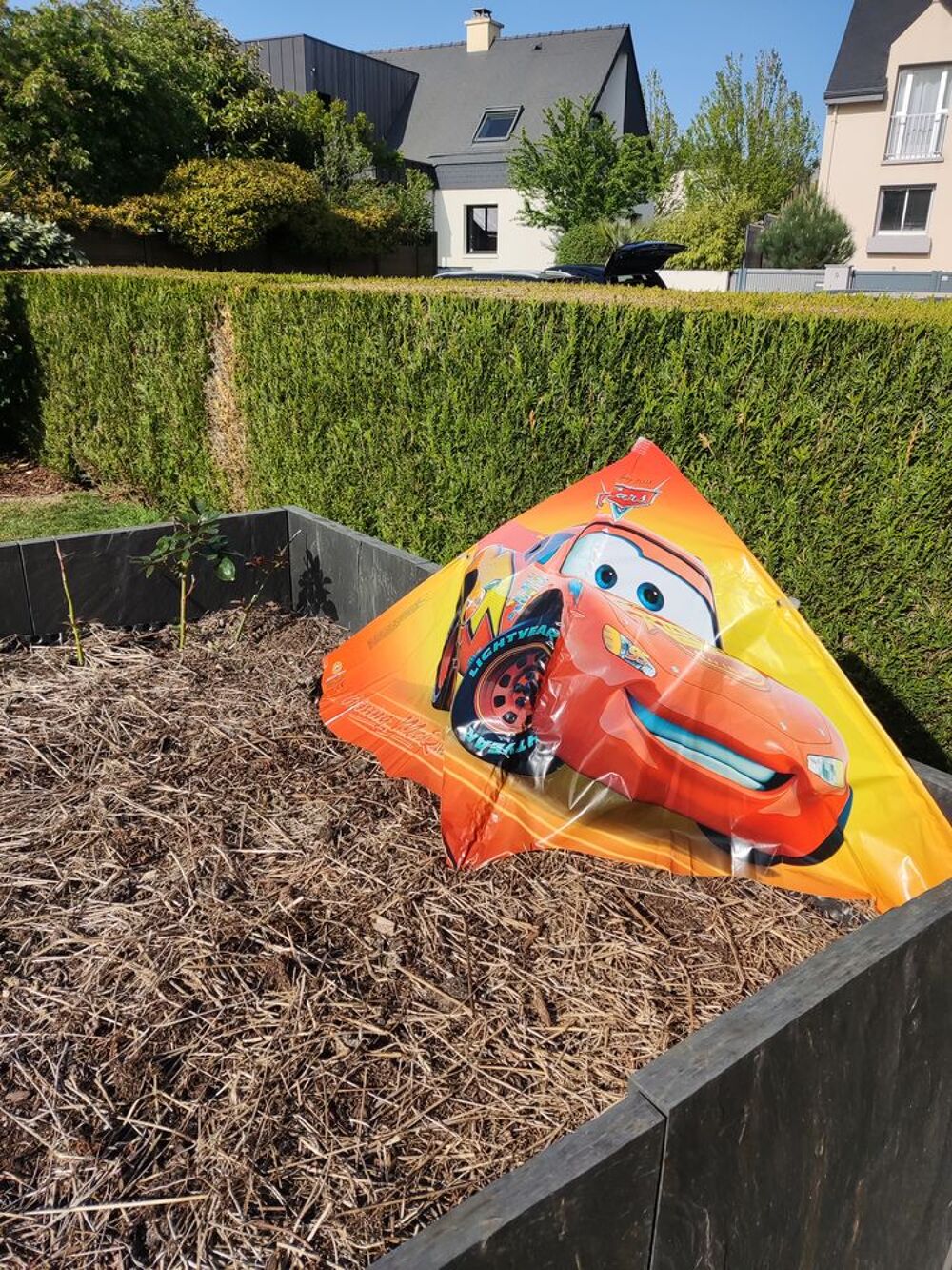 cerf-volant Jeux / jouets