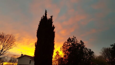 Lustre 30 La Crche (79)