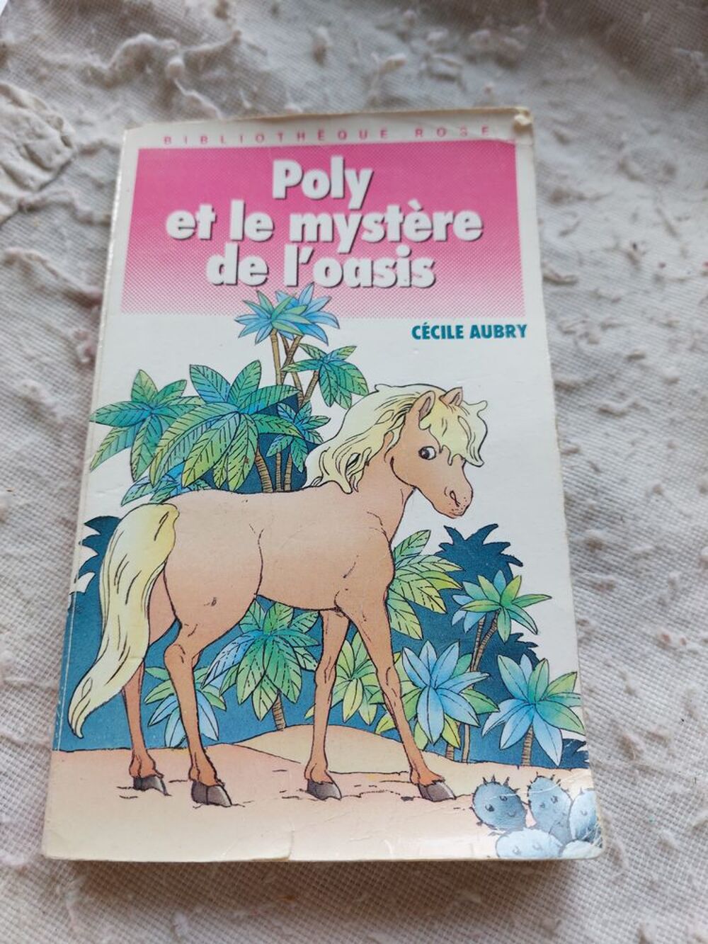 livre pour la jeunesse Livres et BD