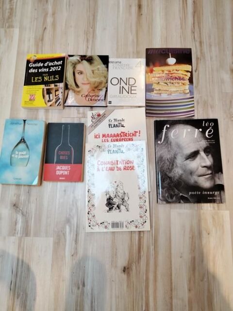 divers livres neufs 15 Saint-Genis-de-Saintonge (17)