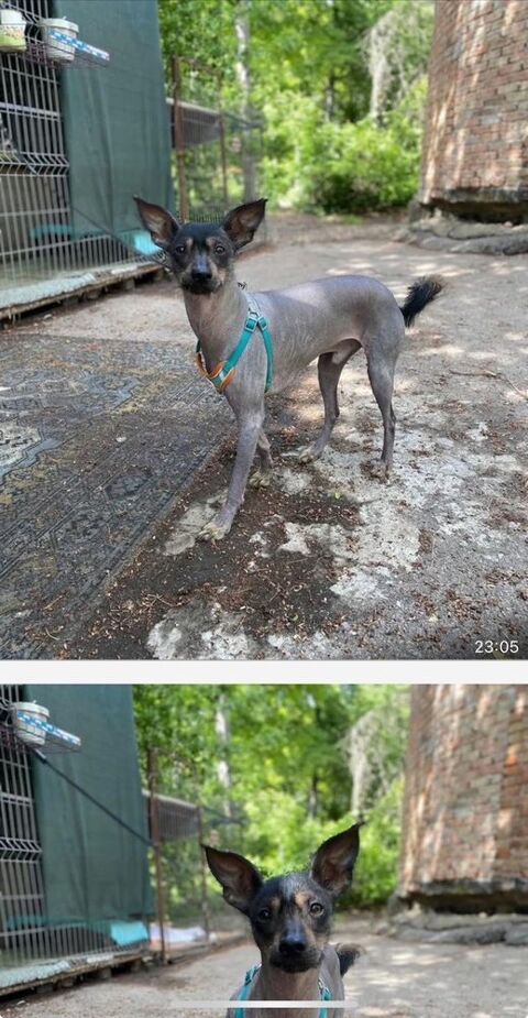 SAUVER     BONYA    D UKRAINE 0 75018 Paris