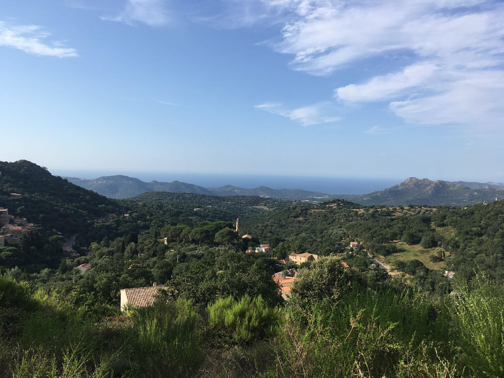 Location Terrain - TERRAIN  EN BALAGNE Ville-di-paraso