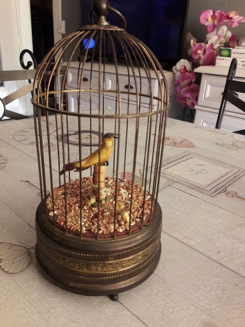 Cage de Chasteté Petit Oiseau  PlugezVous - Livraison gratuite