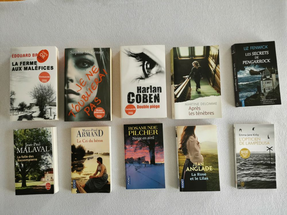 Lot de 10 romans r&eacute;cents Livres et BD