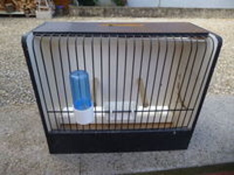   cage de chant  