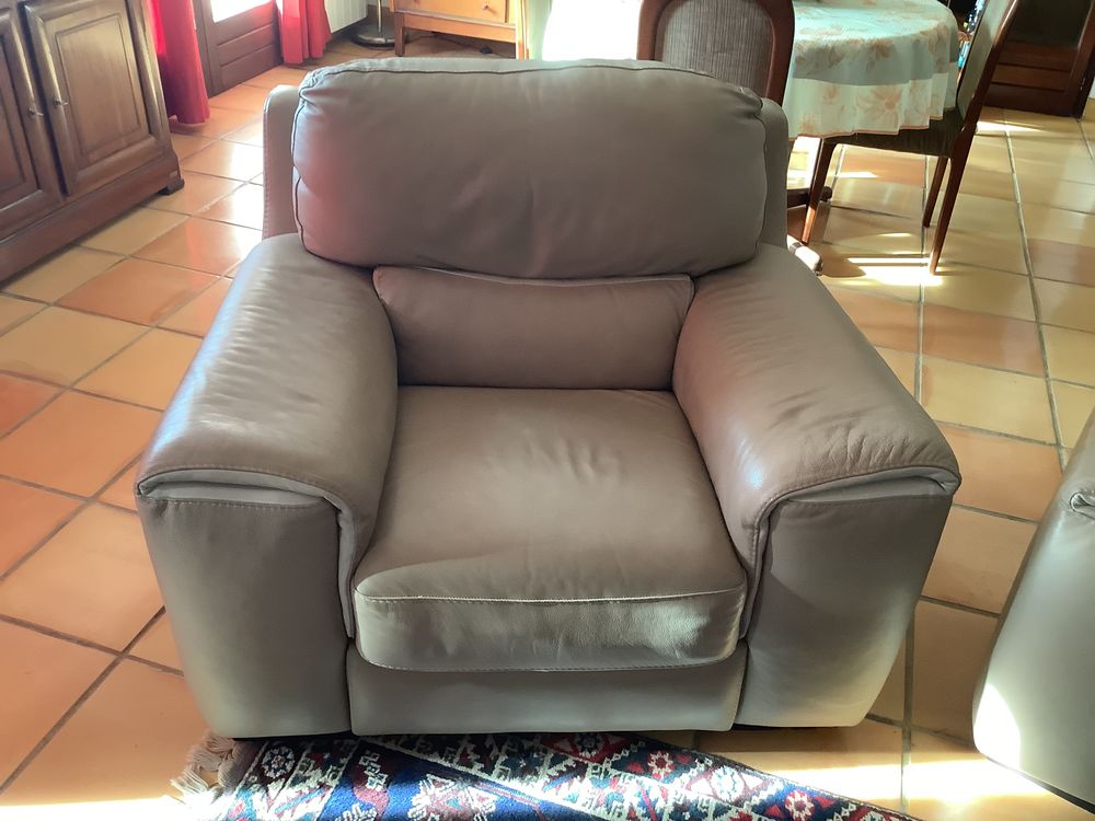 2 fauteuils en cuir Meubles