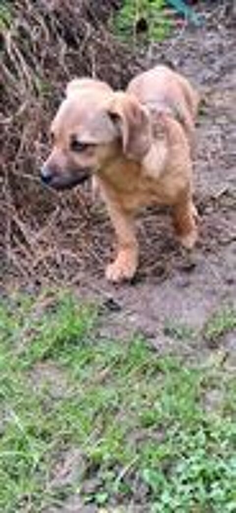   Maidy � l'adoption  