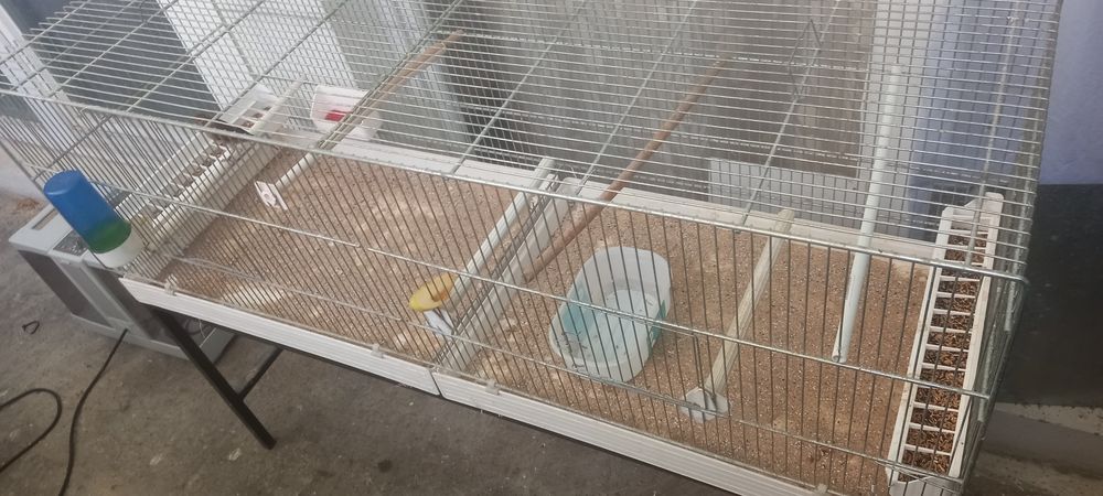   cage 1.20 .  plus demander  dbarquer 1,20 tous les abreuvo 