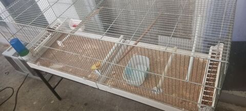 cage 1.20 .  plus demander à débarquer 1,20 tous les abreuvo 80 77186 Noisiel