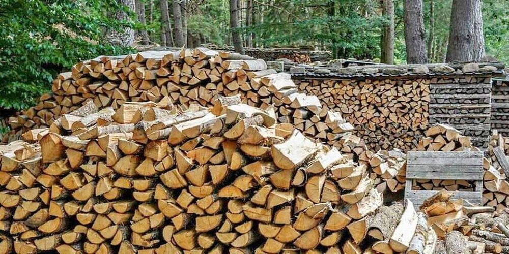 BOIS DE:CHAUFFAGE BIEN SEC IMMEDIATEMENT DISPONIBLE Jardin