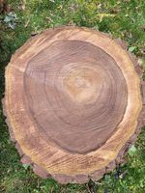   Souches / Billons acacia - noyer 