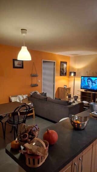  Duplex/triplex � louer 2 pi�ces 48 m�