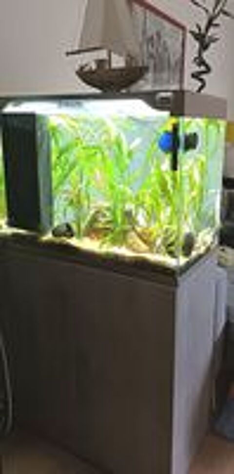   Aquarium CIANO tout équipé impeccable  