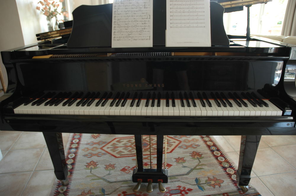 Piano 1/4 queue, Young Shang Instruments de musique
