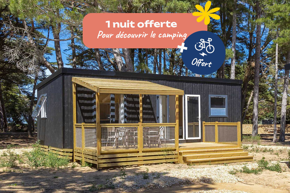  2024 occasion 17580 Le Bois-Plage-en-Ré