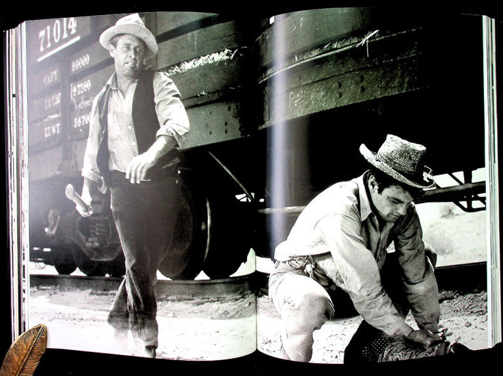 LE TRAIN FAIT SON CINEMA en 248 pages (Riveneuve Collection Livres et BD