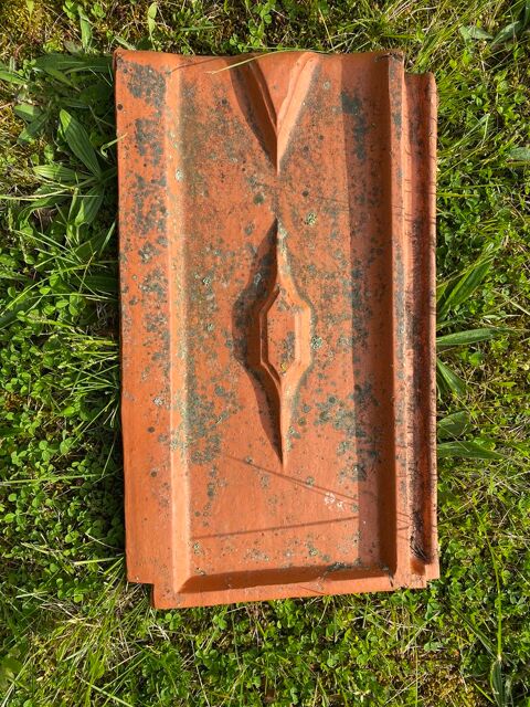 Tuiles de mur de Grossouvre/Cher 50 Montbazon (37)
