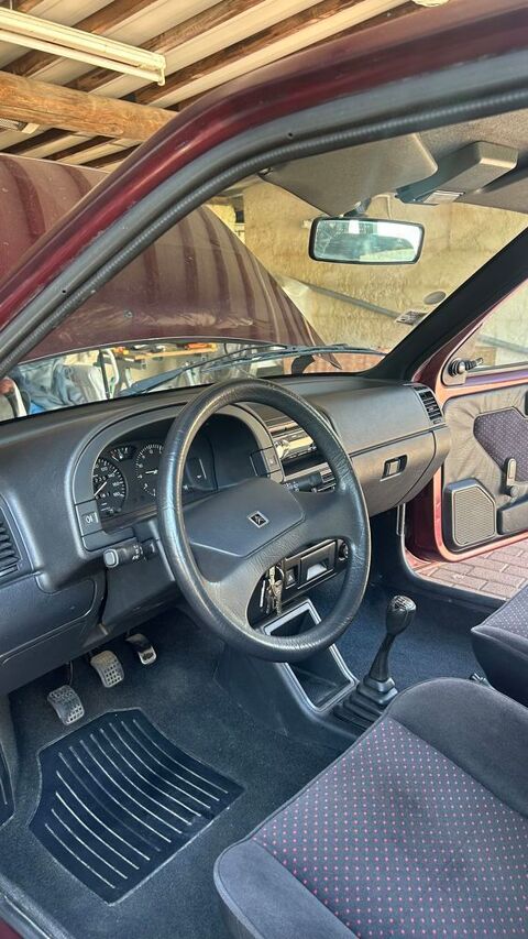 Citroen ax Citro&euml;n
