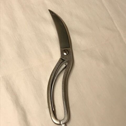 Scateur  volaille 28 Strasbourg (67)