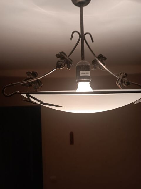 Lustre 10 Auneau (28)