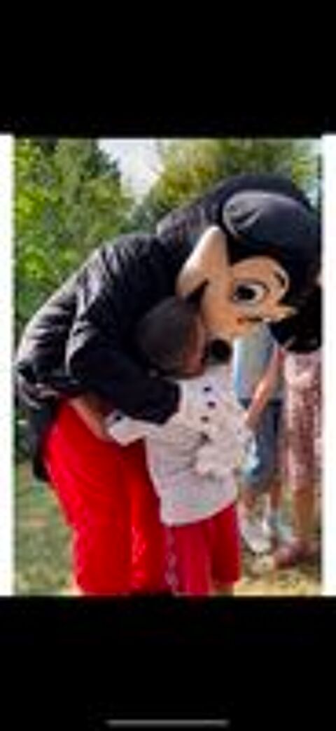   déguisement Mickey et Minnie pour événement 