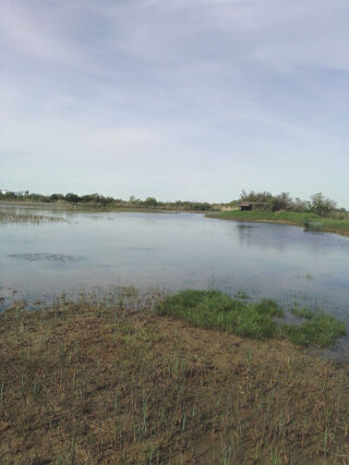  Terrain  vendre 17200 m