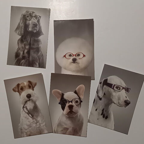Lot de 5 cartes postales grand optical sur le thème des chie 10 Saumur (49)