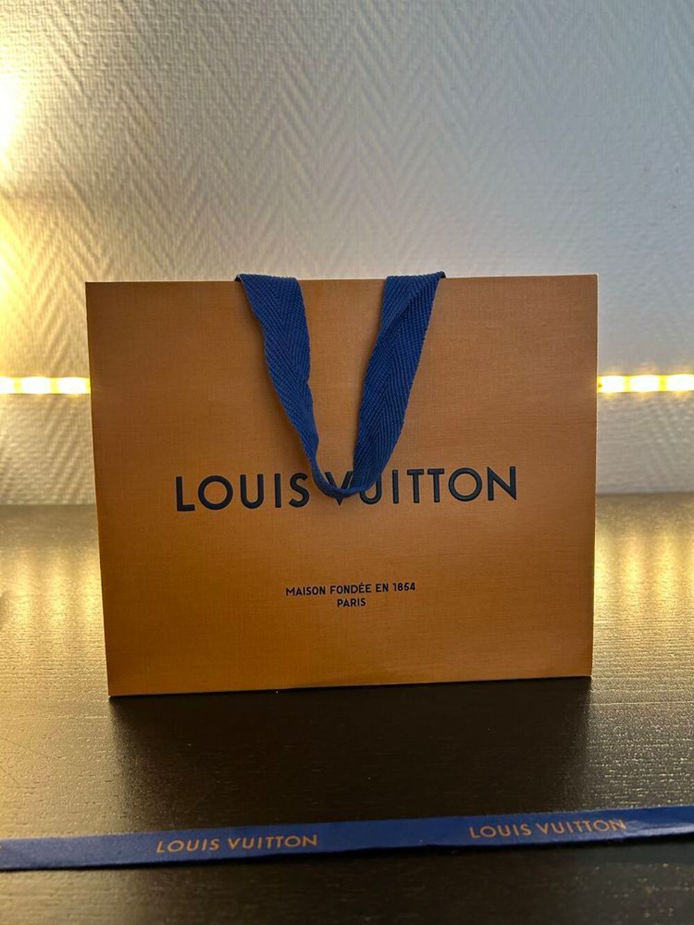 Sac a main Louis Vuitton 