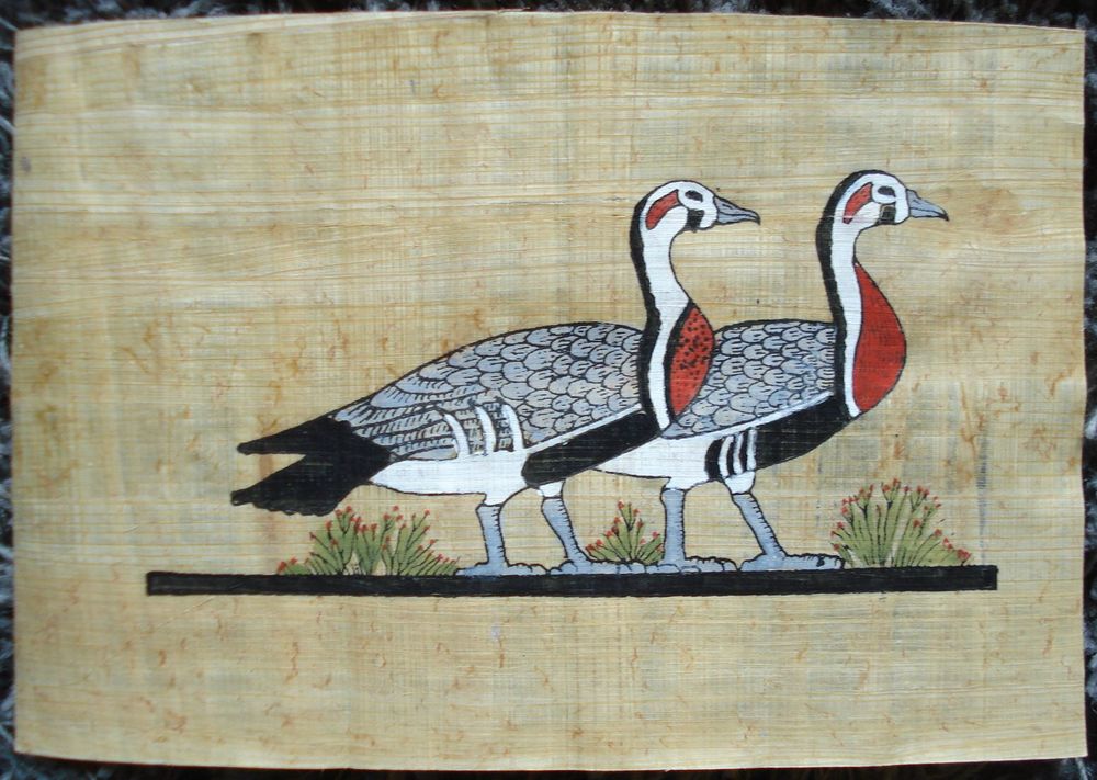 Beaux Papyrus d'origine Egypte Décoration