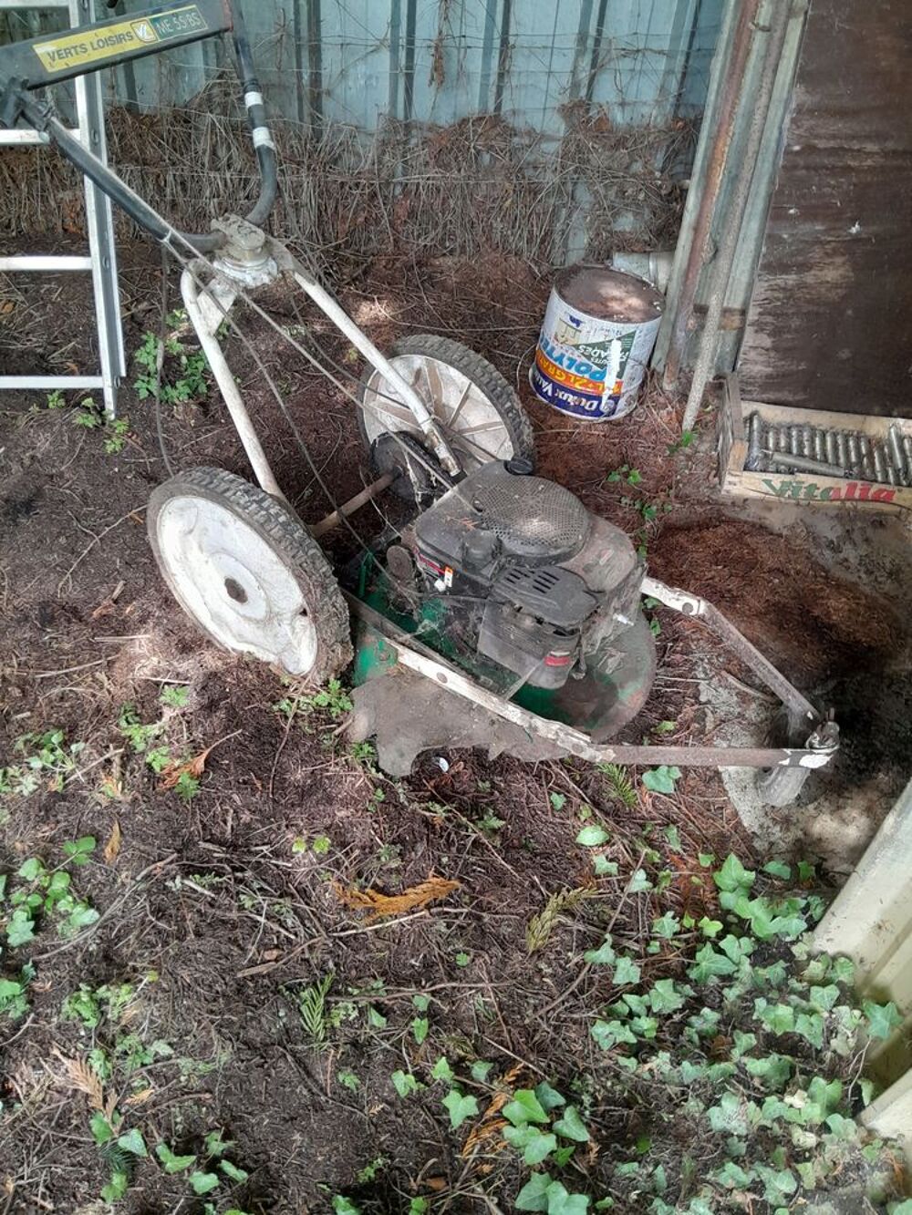 Tondeuse Jardin