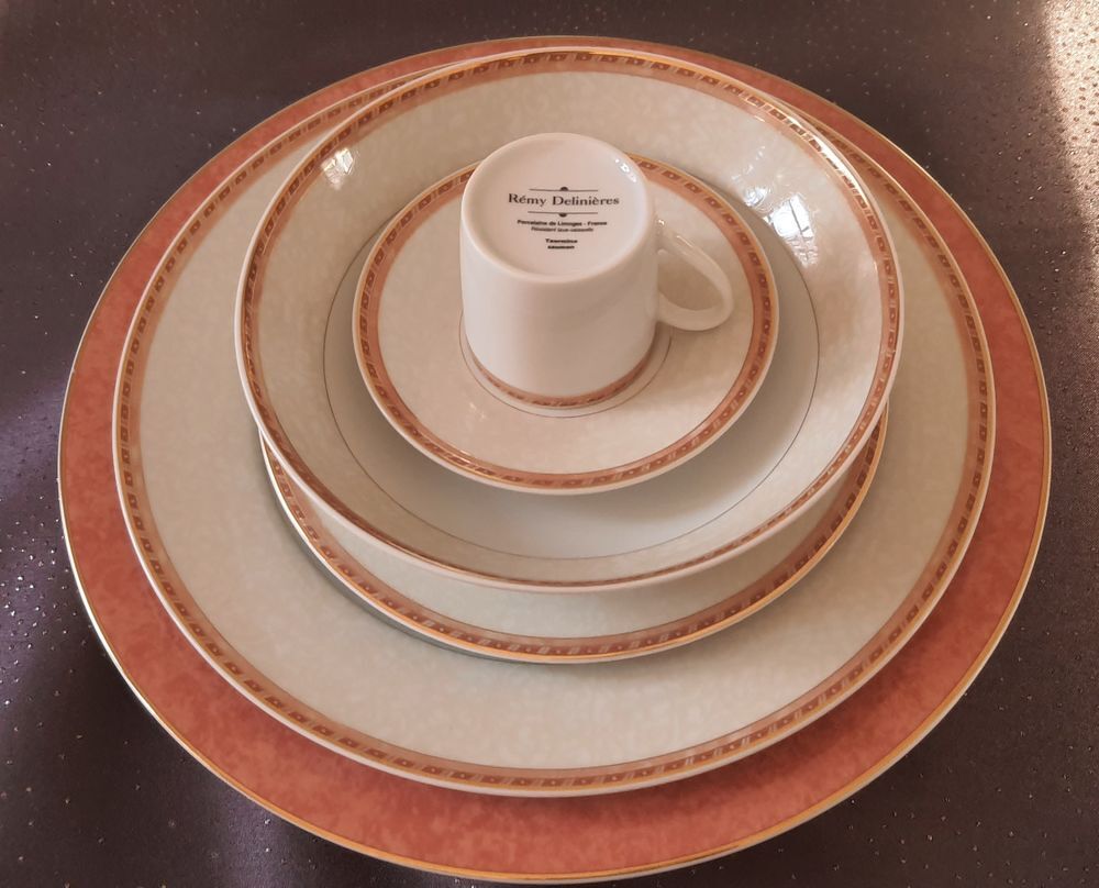 Service R&eacute;my Delini&egrave;res 80 pi&egrave;ces Porcelaine de Limoges Décoration