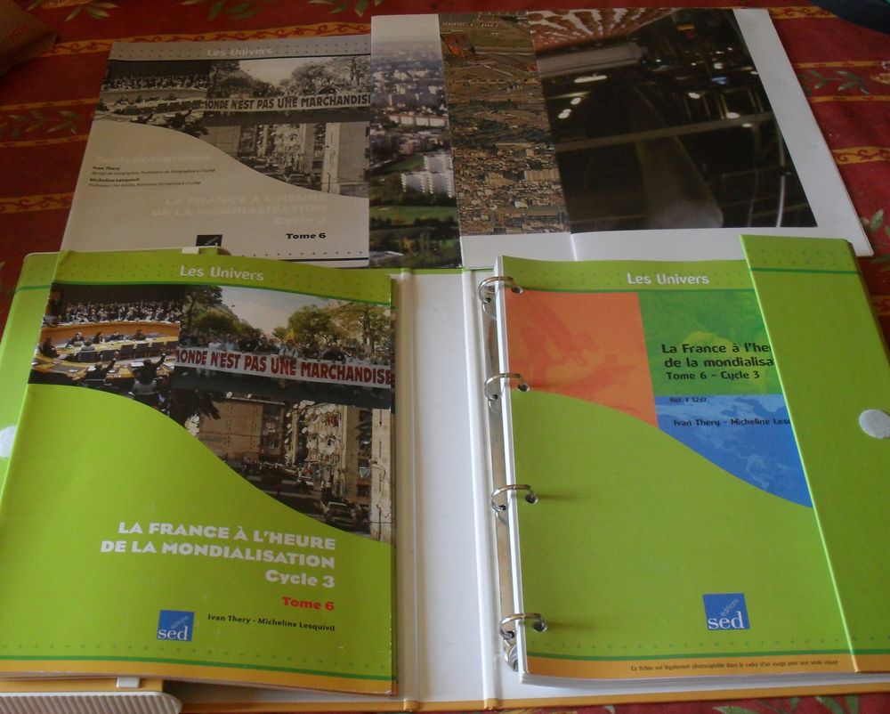 La France &agrave; l'heure de la mondialisation - Tome 6, Cycle 3 Livres et BD