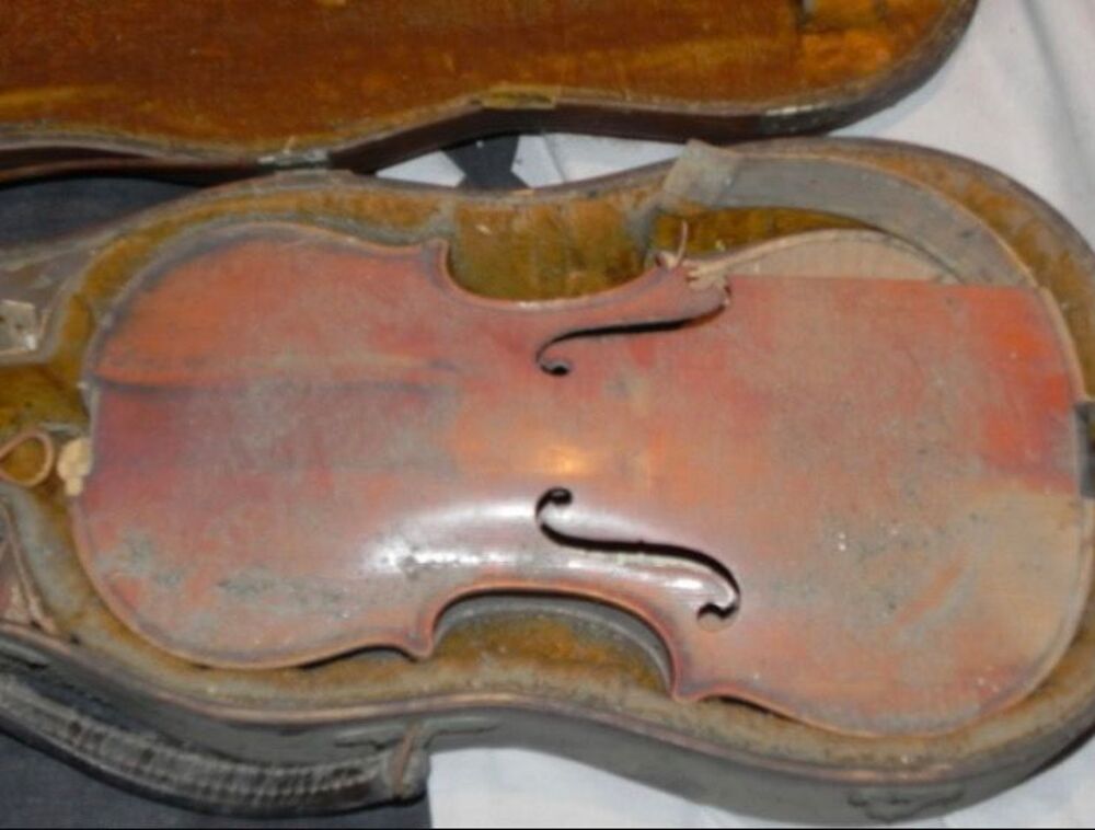 Collectionneur recherche violon Instruments de musique