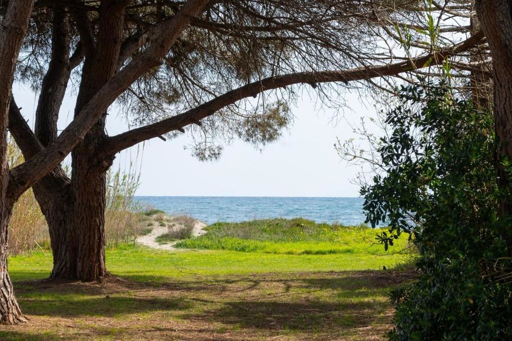 Vente Appartement Les pieds dans l'eau Poggio-mezzana