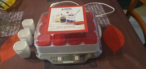 Yaourtiere SEB 60 Br�c� (35)