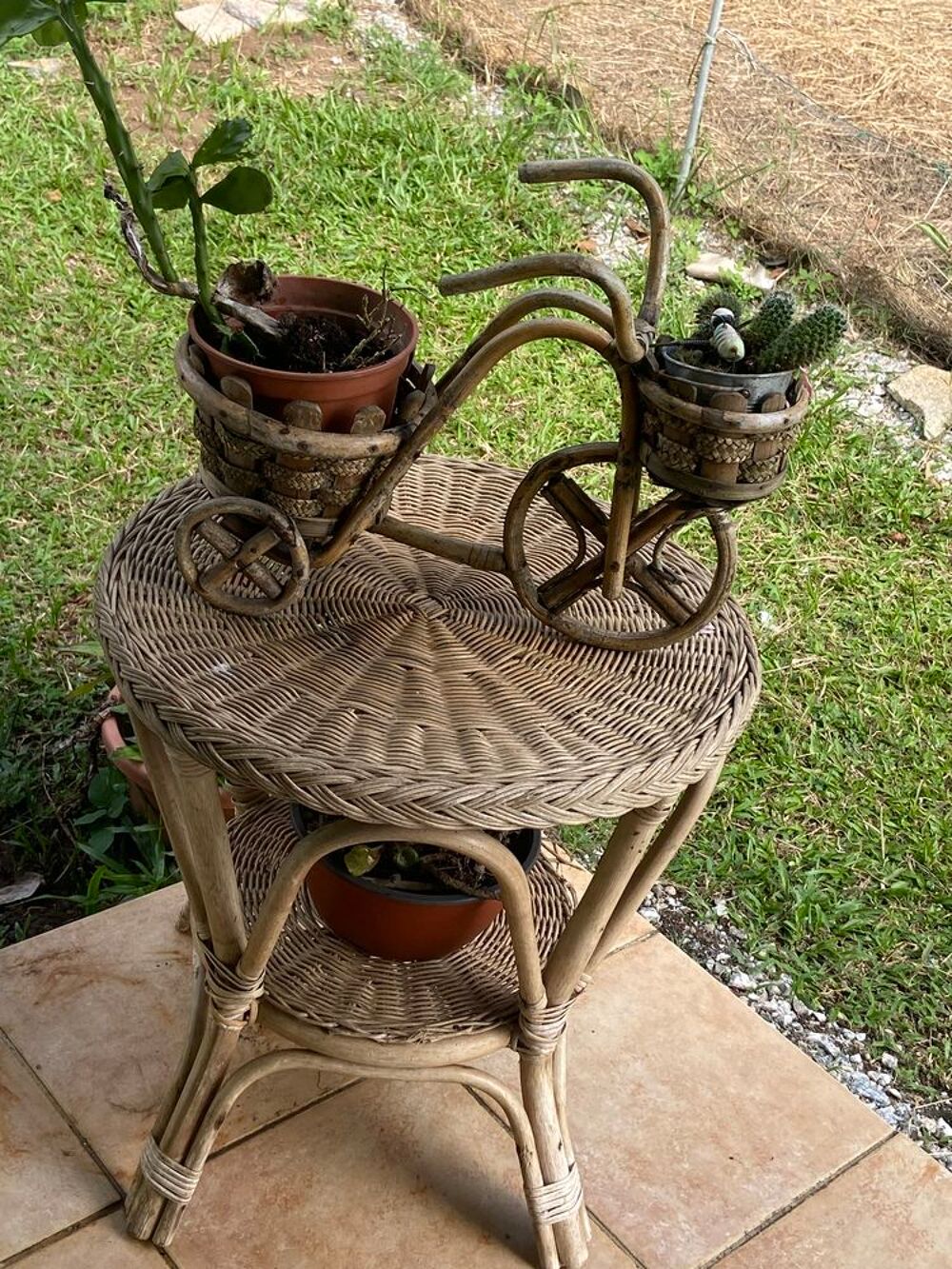 Table en osier Meubles