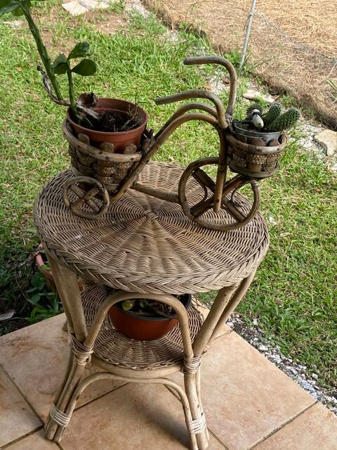 Table en osier 25 Remire-Montjoly (97)