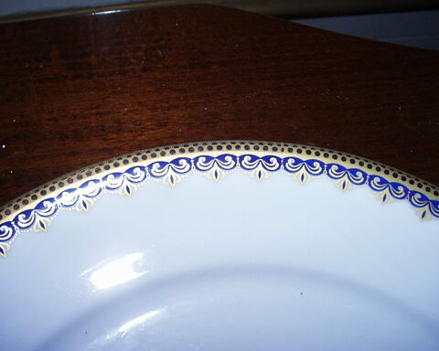Lot de 14  assiettes de table 25 cm diamtre 130 Roquefort-les-Pins (06)
