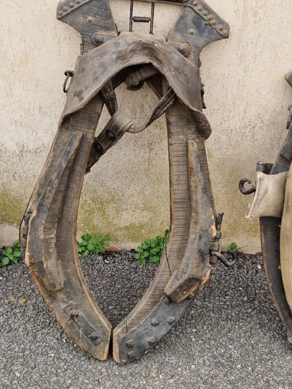 Collier De Poitrine Pour Cheval - Neuf, équipement Tack Solide