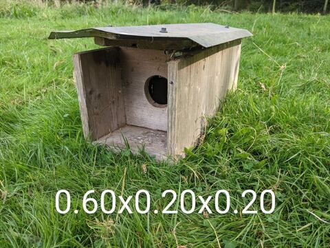 Nid chouette Chevêche d'Athéna 35 56880 Ploeren