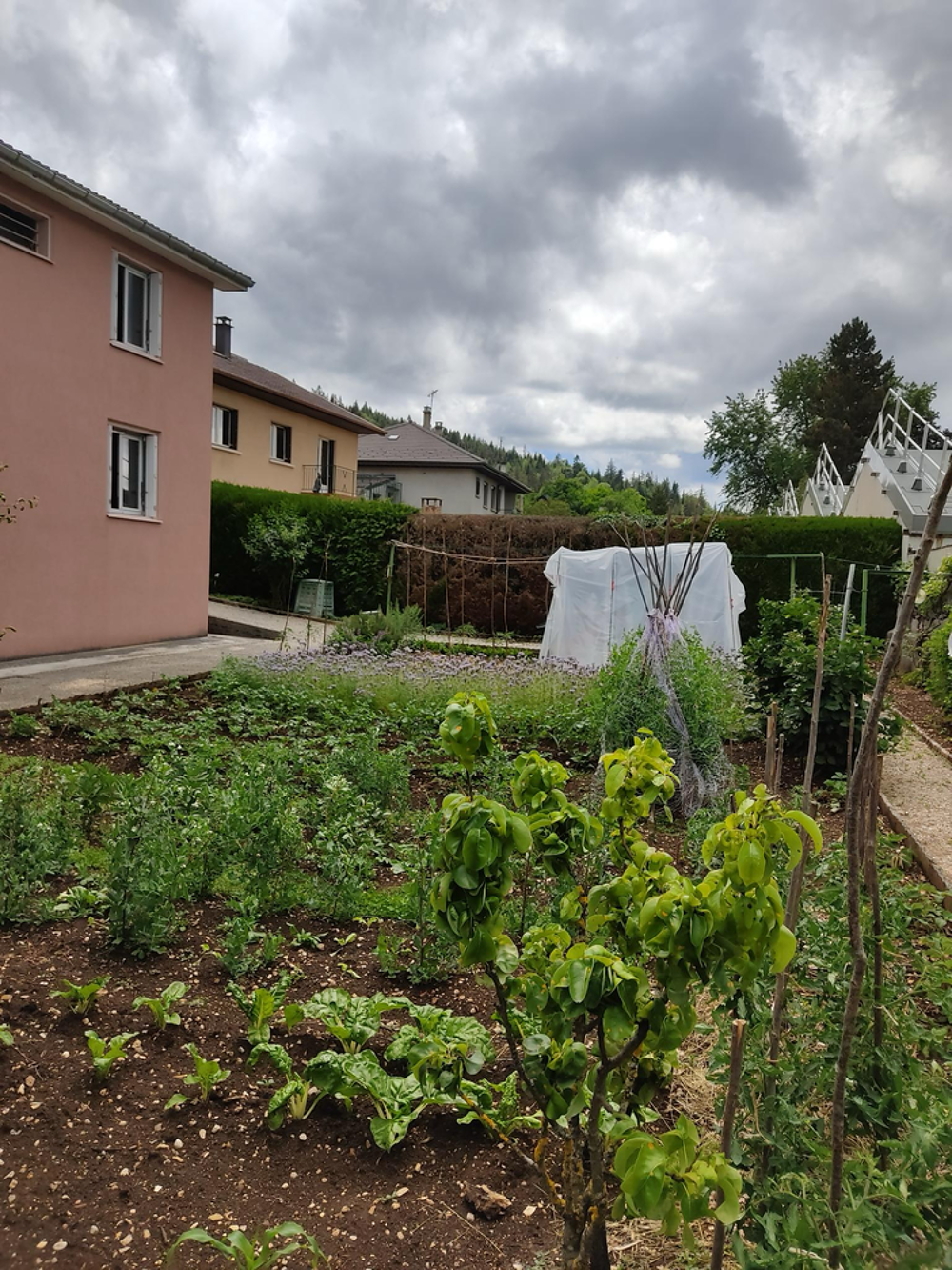 Vente Maison Maison 4 pièces 82 m² avec jardin et espace indépendant Oyonnax