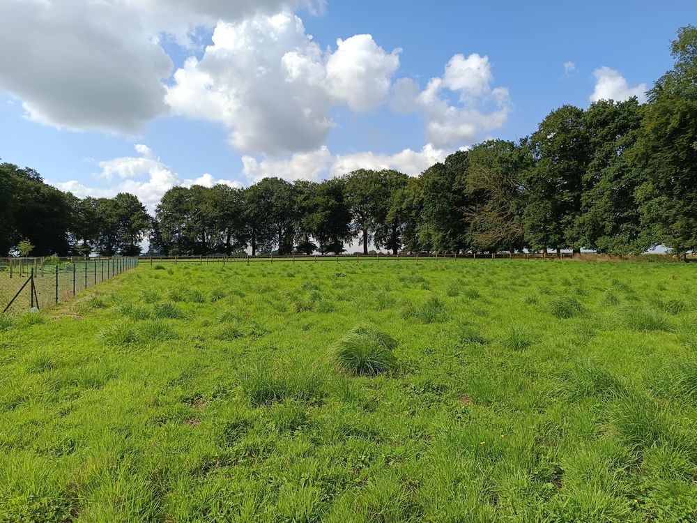 Vente Terrain SECTEUR YVETOT, TERRAIN DE LOISIR 2.397 m2 Hautot-saint-sulpice