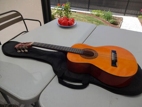 BELLE GUITARE TEL / 0627473514 Jarnac (16)