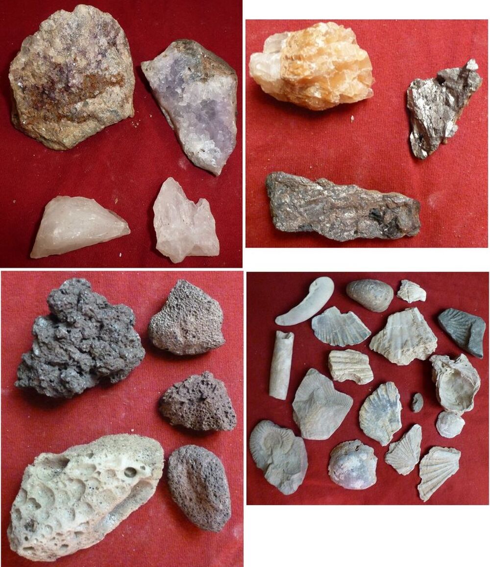 min&eacute;raux, fossiles, coquillages 