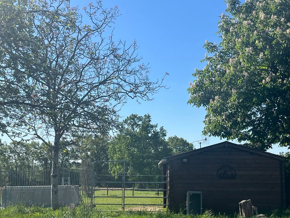 Vente Maison Maison de 100m2, grand terrain et triple garage en Normandie La chapelle-d'andaine