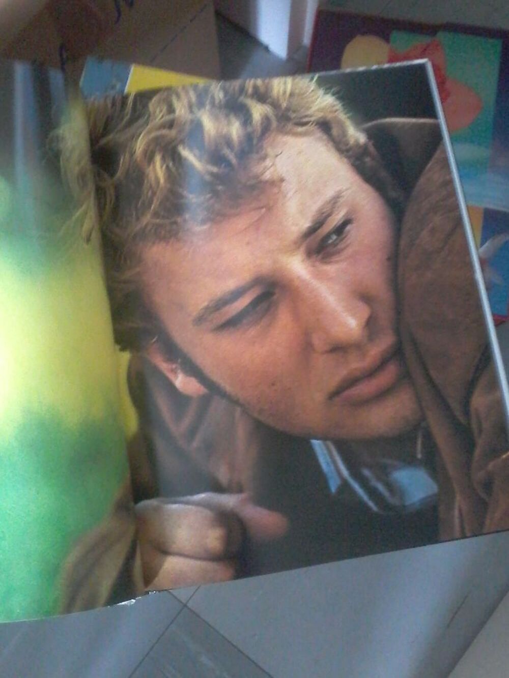 livre johnny Hallyday Livres et BD