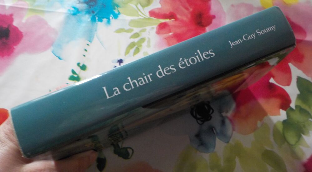 LA CHAIR DES ETOILES de Jean-Guy SOUMY Ed. France Loisirs Livres et BD