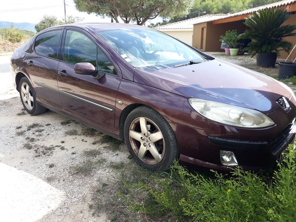 407 2.0 HDi 16v Ex&eacute;cutive Pack FAP A 2005 occasion 83330 Le Castellet